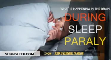 Brain Activity Behind Sleep Paralysis Explained