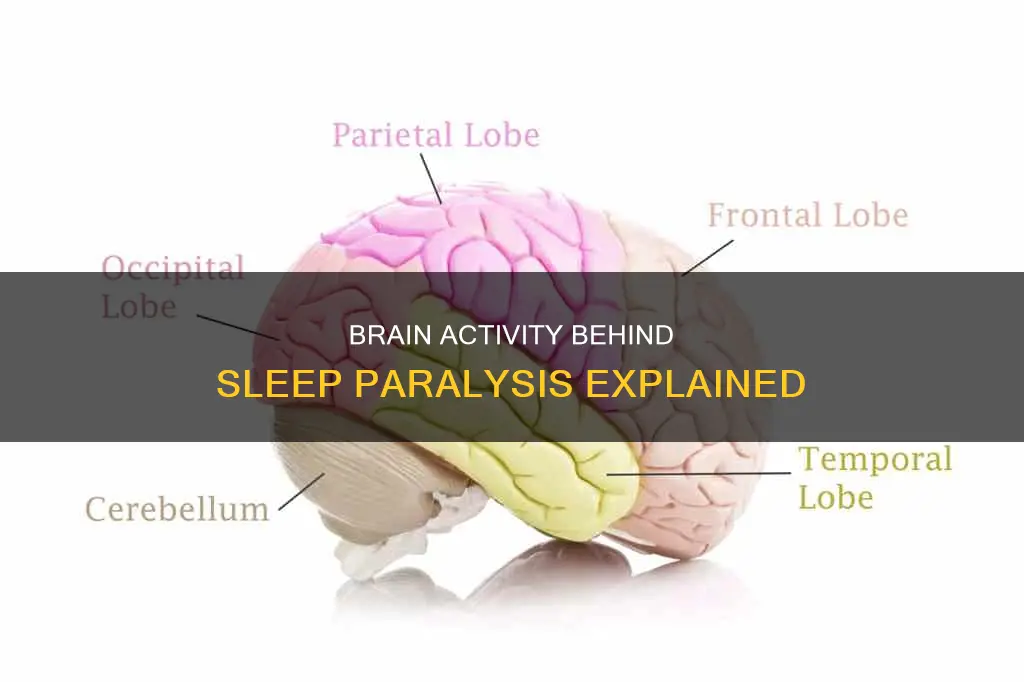 what is happening in the brain during sleep paralysis