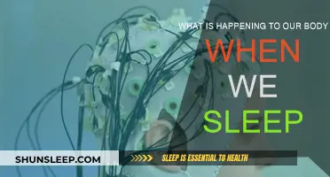 The Science of Sleep: Body on Standby Mode