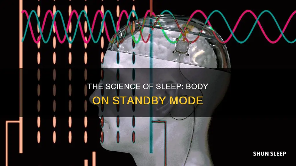 what is happening to our body when we sleep