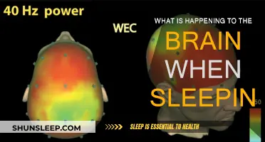 Brain Activity During Sleep: Understanding the Science