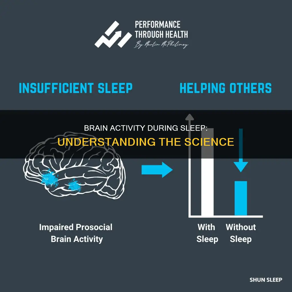 what is happening to the brain when sleeping