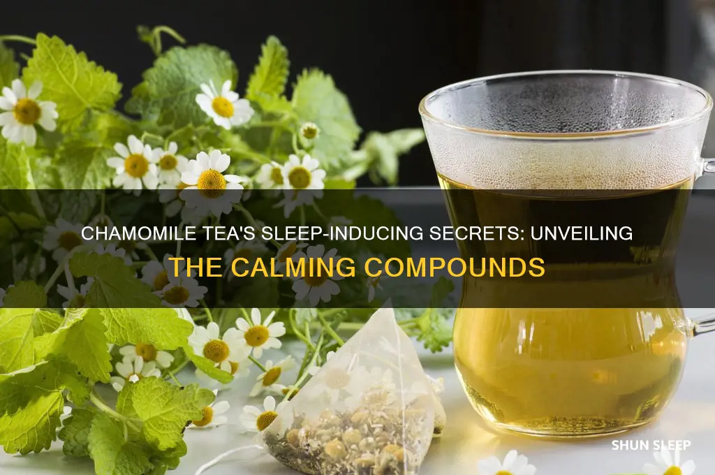 what is in chamomile tea that helps you sleep