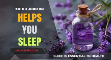 Lavender's Sleep-Inducing Secrets: Unlocking the Science Behind Its Calming Effects