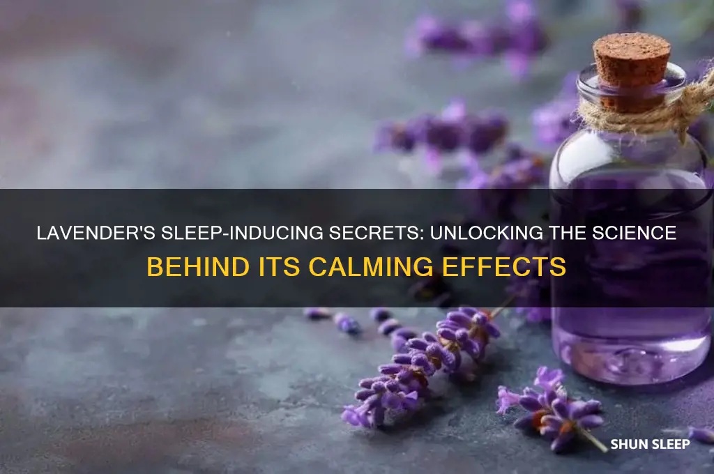 what is in lavender that helps you sleep