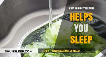 Lettuce's Sleep-Inducing Secret: Unlocking the Natural Benefits for Better Rest