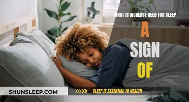 Sleep Increase: What Does Your Body Need?