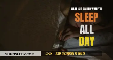 The Sleepyhead Syndrome: Sleeping All Day Explained