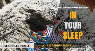 Why Do We Jump in Our Sleep?