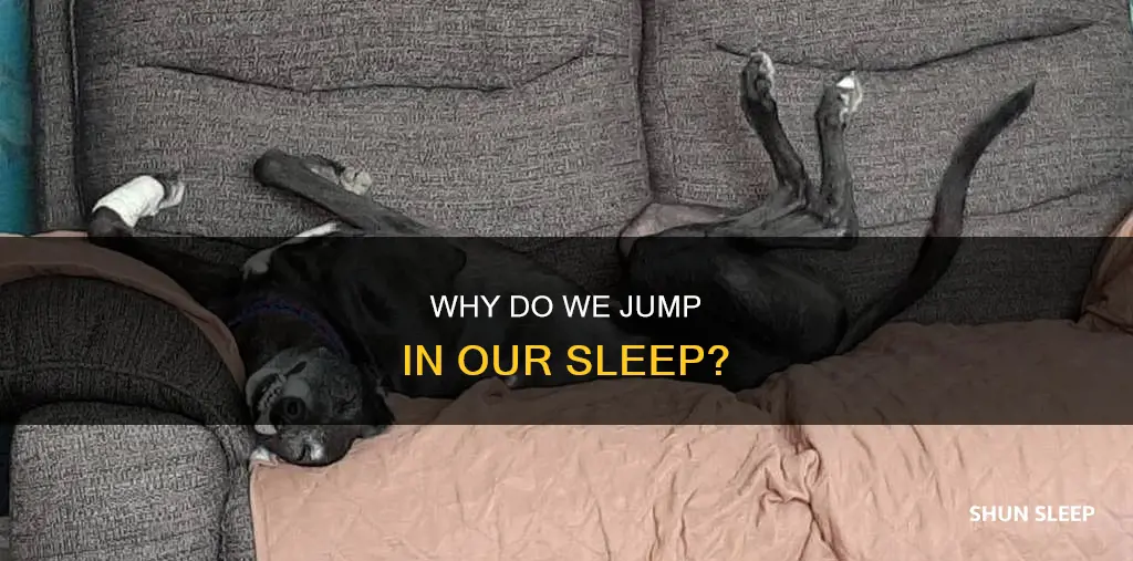 what is it mean when you jump in your sleep