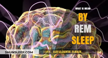 REM Sleep: The Brain's Active Rest