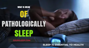 Pathological Sleep: Understanding the Science of Sleep Disorders