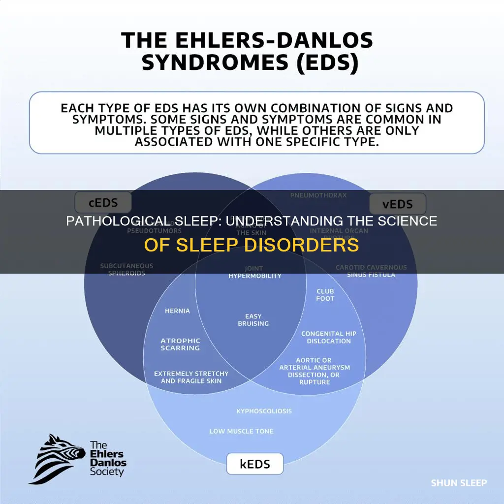 what is mean of pathologically sleep