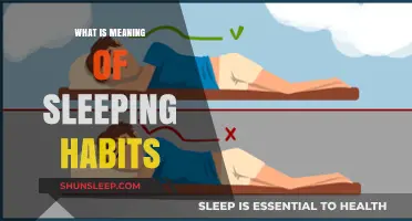 Understanding Sleep Habits: A Guide to Sleep Patterns