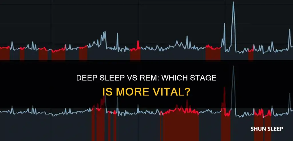 what is more importsnt deep or rem sleep