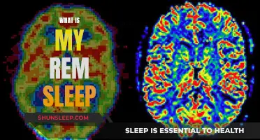 Understanding REM Sleep: Your Brain's Active Resting Phase