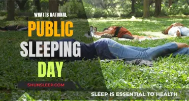 Public Sleeping Day: A National Affair