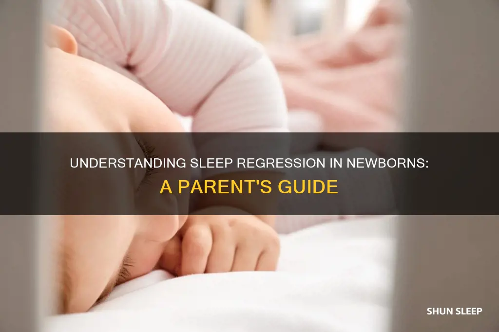 what is newborn sleep regression