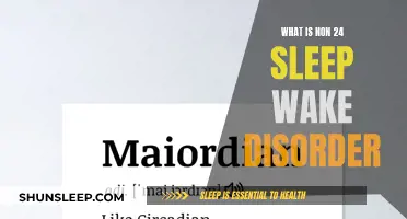 Understanding Non-24 Sleep-Wake Disorder: A Chronic Sleep Challenge