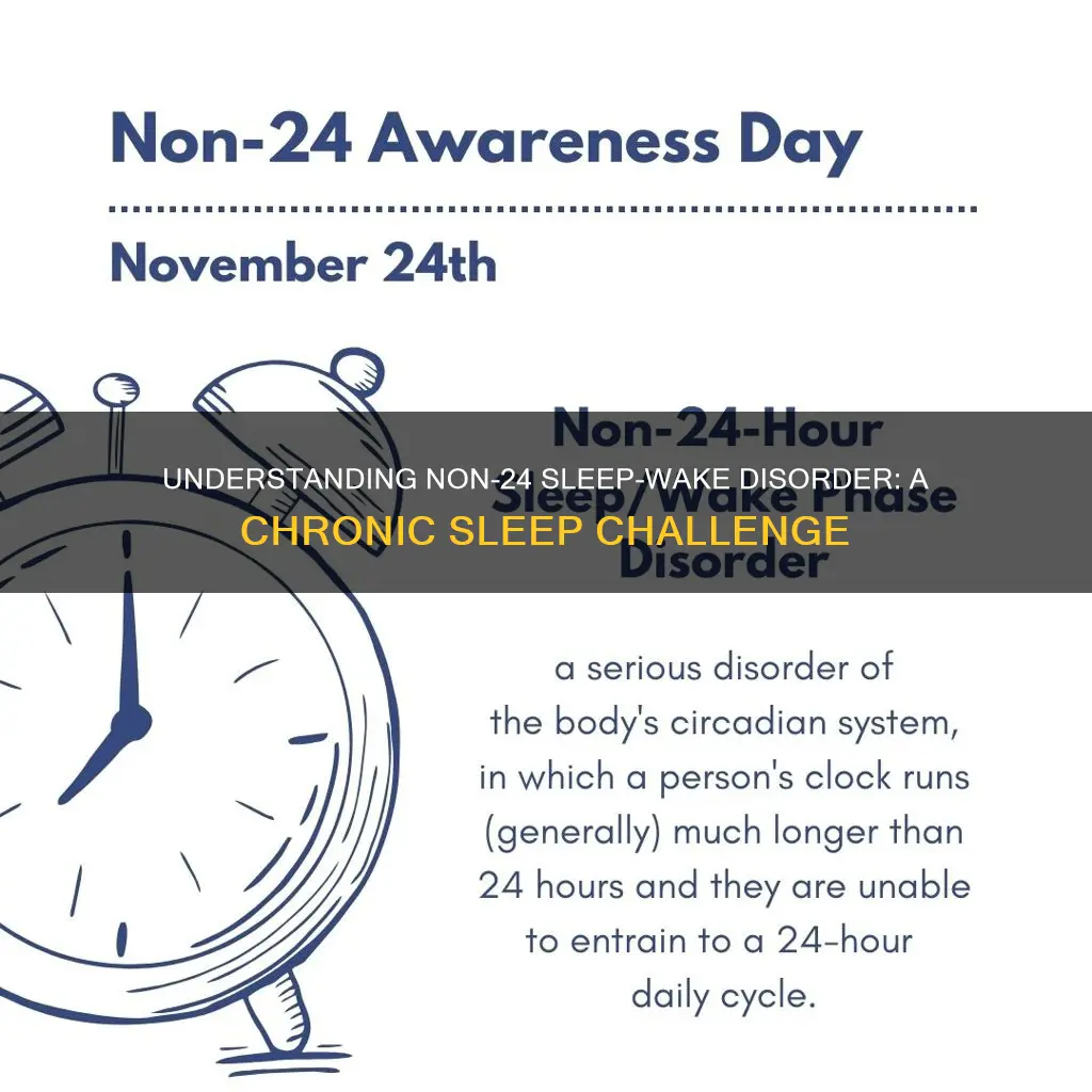 what is non 24 sleep wake disorder