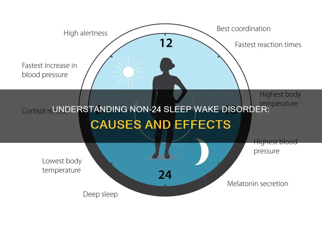 what is non 24 sleep wake disorder