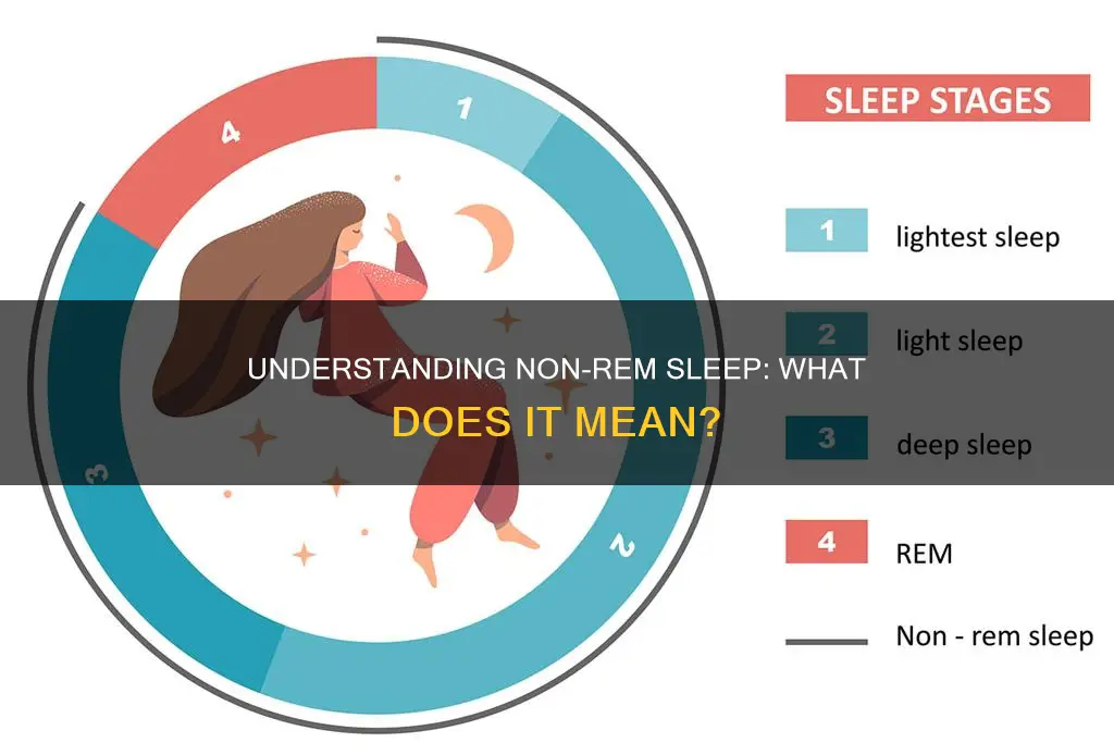 what is non rem sleep mean