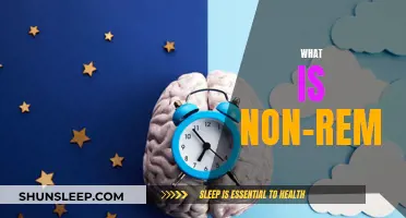 Understanding Non-REM Sleep: A Vital Sleep Stage