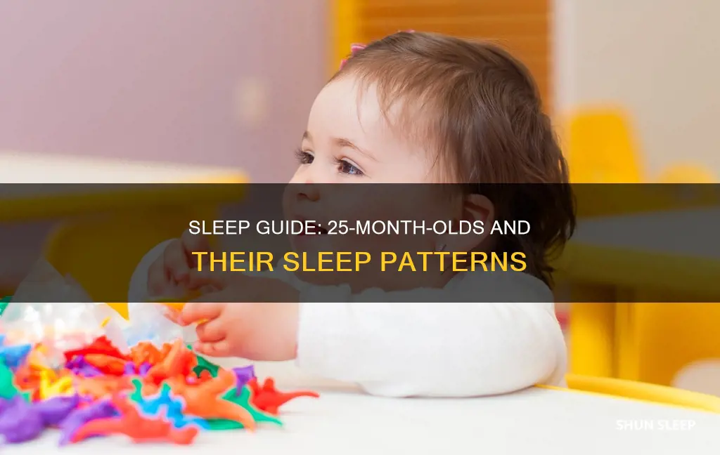 what is normal for 25 month old sleep