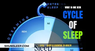 Understanding Rapid Eye Movement Sleep Cycles