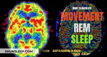 Understanding Rapid Eye Movement: REM Sleep Explained