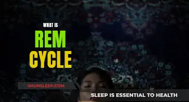 Understanding Sleep: REM Cycle Explained