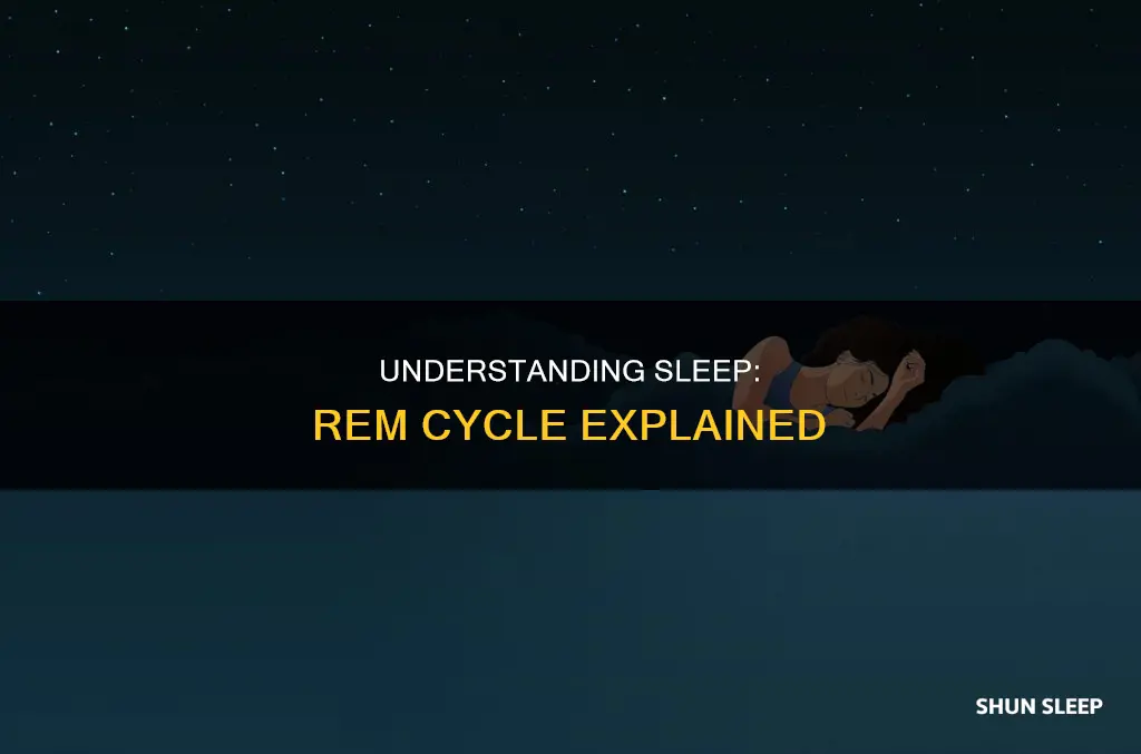 what is rem cycle