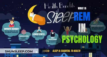 REM Sleep: Psychology's Window to the Mind