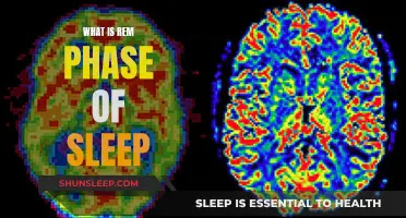 REM Sleep: Understanding the Dreaming Phase