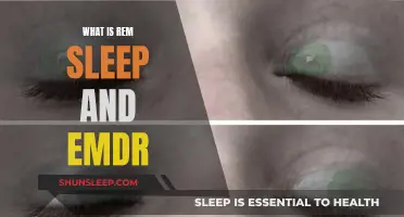 Understanding REM Sleep and EMDR Therapy: Brain, Eyes, and Trauma