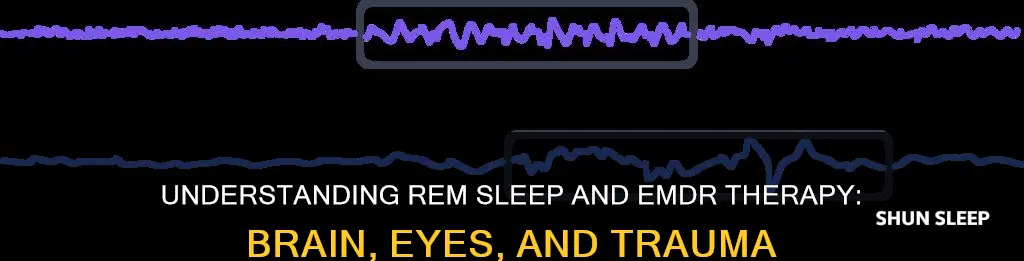 what is rem sleep and emdr