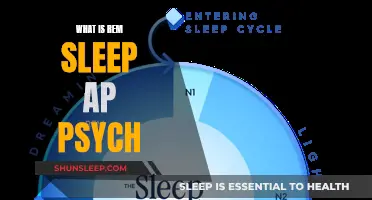 REM Sleep: Understanding the Basics of This Sleep Stage