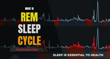 Understanding REM Sleep: The Cycle's Mysteries Explained