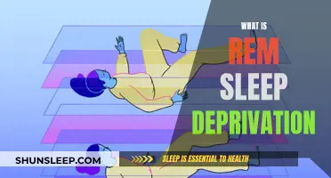 Understanding REM Sleep Deprivation: Science and Impact