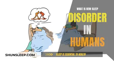 Understanding REM Sleep Disorder in Humans