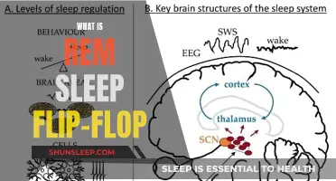 Understanding REM Sleep Flip-Flop: Brain's Unique Wake-Up Call