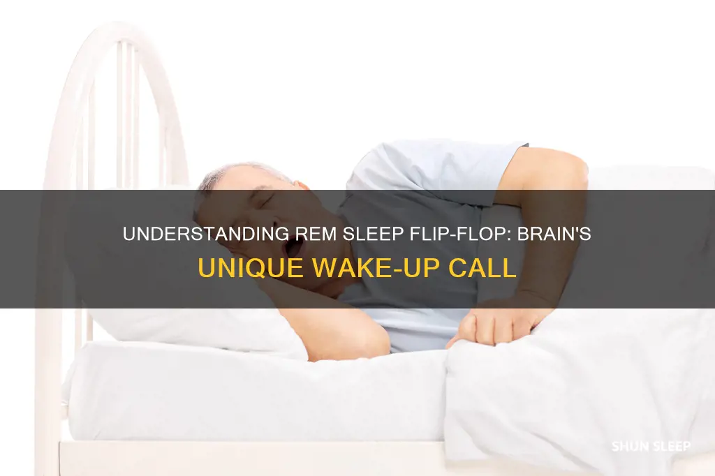 what is rem sleep flip-flop