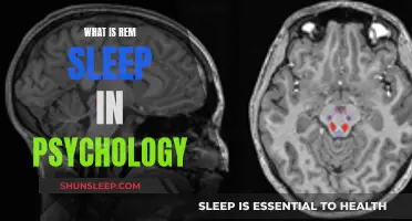 REM Sleep: Psychology's Window to the Unconscious Mind