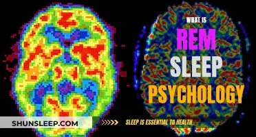 REM Sleep: Psychology's Window to the Unconscious Mind