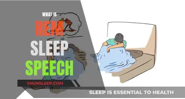 REM Sleep Speech: Understanding the Science Behind It