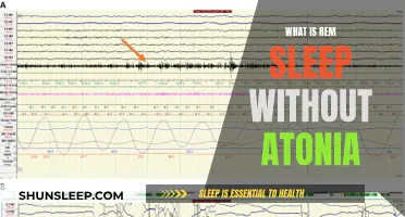 Understanding REM Sleep Without Atonia: A Mysterious Sleep Disorder
