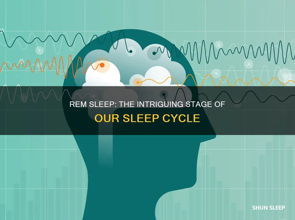 what is rem stage of sleep