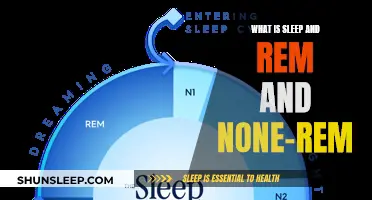 Understanding Sleep: REM, Non-REM, and Their Roles