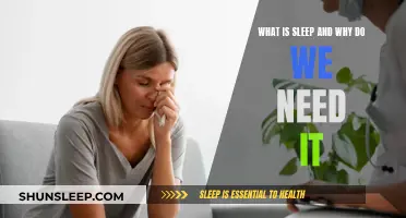 Understanding Sleep: Its Role and Importance in Our Lives