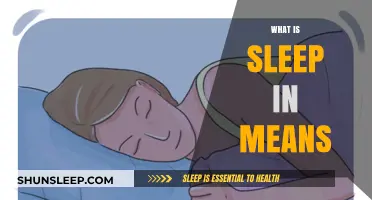 Sleep In: The Ultimate Guide to Sleeping In